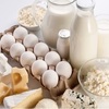 Global Organic Dairy Market Stimulated by Various Government Initiatives