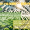 ミスト潅水システムの効果的な活用法