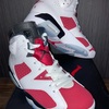 NIKE AIR JORDAN 6 RETRO "carmine"