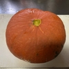 今年初の『金山カボチャ』を食べる～♪