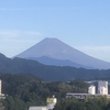 伊豆半島の付け根旅行日記　～三島スカイウォーク・蛭ヶ小島・韮山反射炉・修禅寺・三嶋大社～