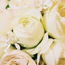 なるべく飾らない