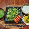 【家庭菜園】ほぼ自給自足な食生活！