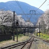 桜鉄（山北）