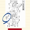 澤田流。