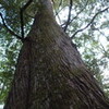 日中に目を休める