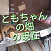 恵比寿の無人野菜販売所”ともちゃんの畑”の現在。