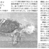死んだアオウミガメから２キロのゴミ