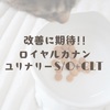 改善に期待!!ロイヤルカナン「ユリナリーS/O+CLT」