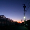 浜ちゃんの散歩道(７１５)　　朝夕は、老体には寒さは厳しいが強い風がないため足取りも軽く散歩した。　