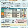 日本で使える花粉症の抗アレルギー薬ガイド（2026年3月時点）