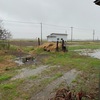 雨で種まきイベント中止　～そんな僕集の一日