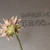 社会不適合者が見つけた『革花作家』という道