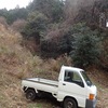 ウラジロを採りに　二十枚弱
