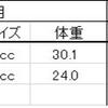 2023/2/19  大型・極太系オオクワガタ蛹化