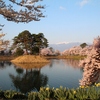 4月3～4日　ちょっとそこまで　伊那～駒ケ根　①六道の堤の桜