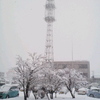 新潟は雪