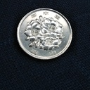 お金を追い回せ！