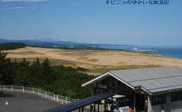 記事を見る