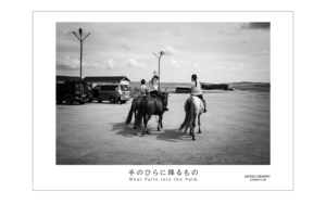 5/22（木） 写真展「手のひらに降るもの」改めて制作と発表について