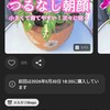 1.つるなし朝顔の開花