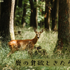 そんなのまで食べるんですか