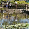 ロータリーの泉（神奈川県寒川）