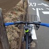 午後🌞サイクリング🚴‍♂️