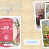ダイソーの「ミニトマト」観察日記〜①から⑩まで　まとめ