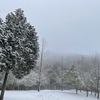 山は雪の中、鳥は沈黙を守る。