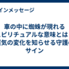 車の中に蜘蛛が現れるスピリチュアルな意味とは？運気の変化を知らせる守護のサイン