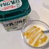 豆乳グルトは塩混ぜてはちみつかけたら美味かった