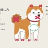 強くて優しい飼い主を目指し、犬の一生をサポートしましょう。