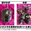 【ランチを食べる時間がない時】一口サイズのクラスターおにぎり‼︎の巻Cluster Rice Balls