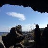 三原山に新たなサルが！