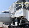 ANA【普通席】1694便 那覇✈️新千歳 搭乗記とB737-800のおすすめシート