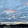 本格的な寒さがきた中で