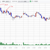前日比で含み損益マイナス¥1,217,234 今週は5日連続マイナスで終了