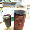 プロバスケットチーム…