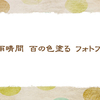 塗り絵【仲夏の俳句】