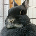 usagi_kainusi’s blog