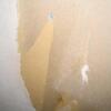 壁紙剥がしのさじ加減