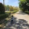 公園でお散歩