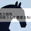 2023/10/27 地方競馬 船橋競馬 6R 馬い!淡路うしろ農園玉ねぎ発売記念(C3)
