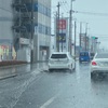 雨の中クンちゃん