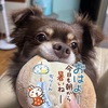 ８月も頑張ろう～♪