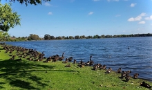 オーストラリア・パース留学のメリット・デメリットは？特徴や費用も徹底解説