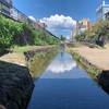 Ｂちゃんとお出かけ🐕水遊び