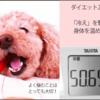 身体を冷えから守りたい。温かい体の方が痩せやすい理由。