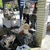 犬と芦原公園「参院補欠選、静岡で自民敗北」と「グラフで見る日本の賃金」と「吉村知事で闘う維新」など